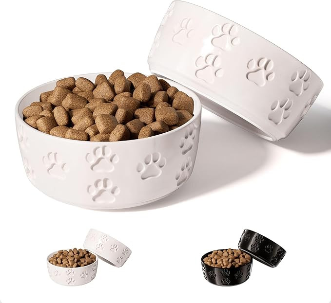 Ceramic Dog Bowl Set of 2 with Anti-Skid Base - 5" Wide x 2" Tall Ceramic Dog Bowls for Small Dog... | Amazon (US)