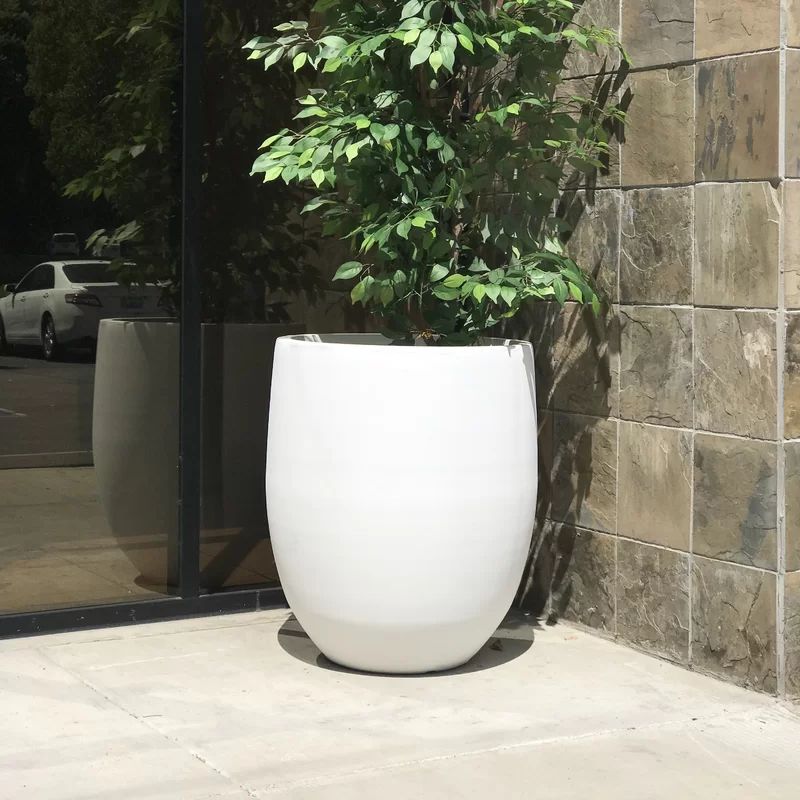 Gethsemane Concrete Pot Planter | Wayfair North America