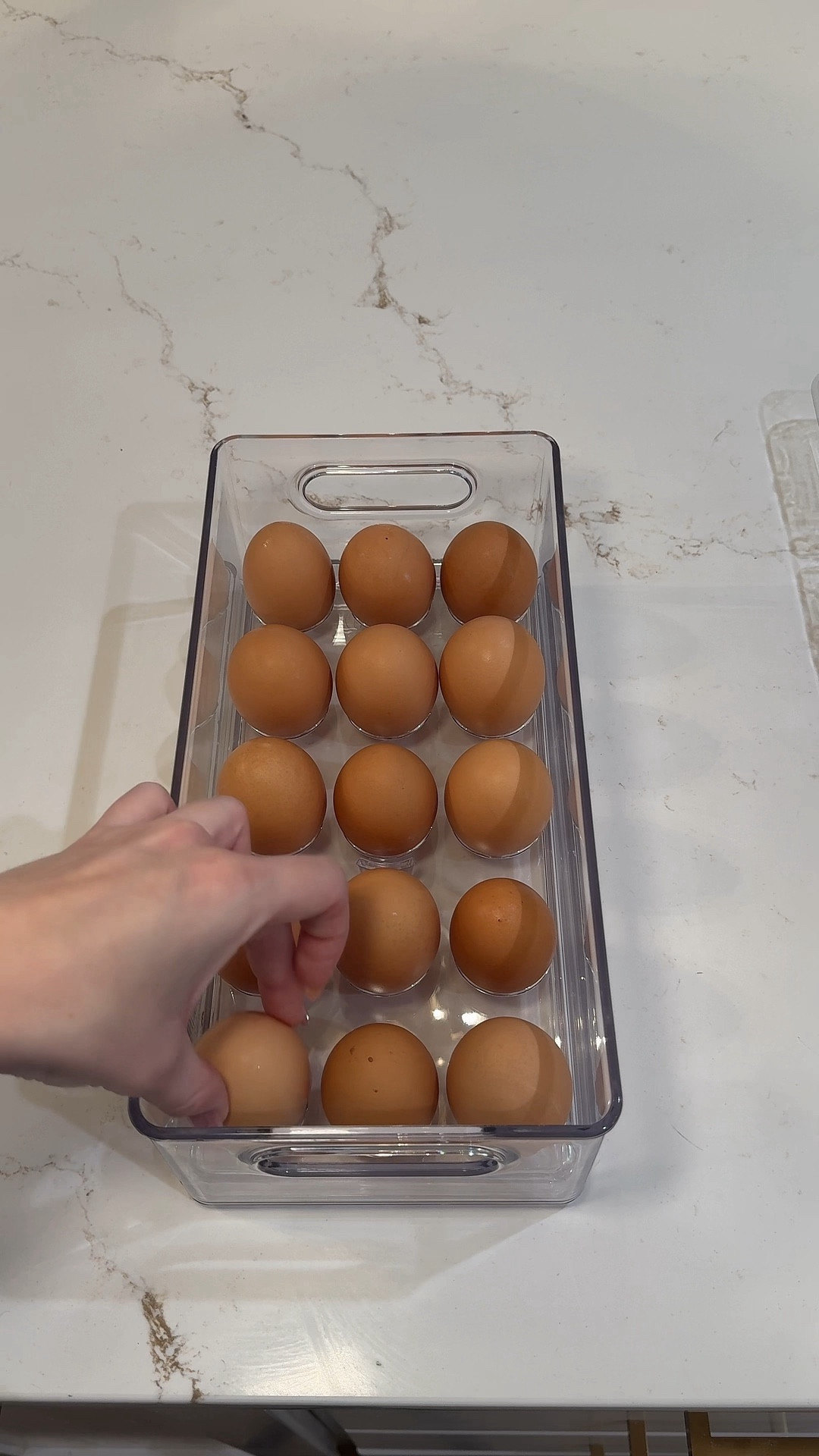 Kitchen organization 

#LTKVideo #LTKU #LTKhome