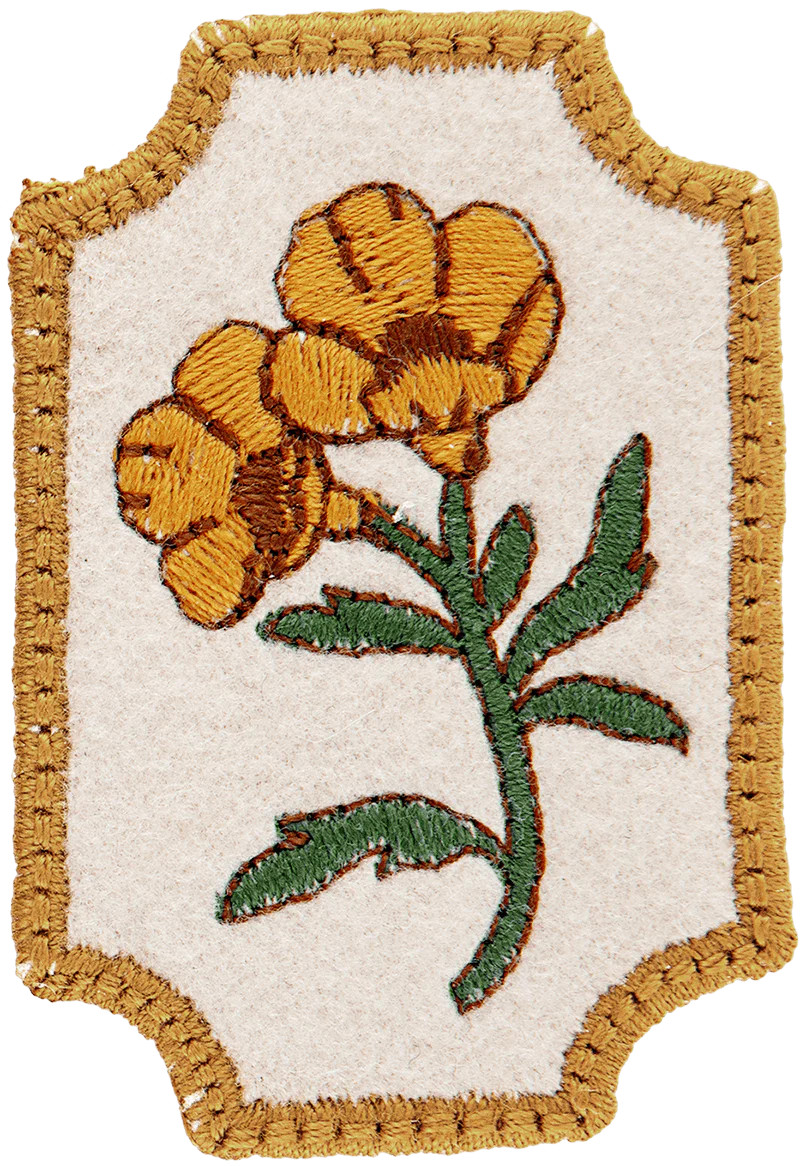 Wildflower Patch | Stoney Clover Lane