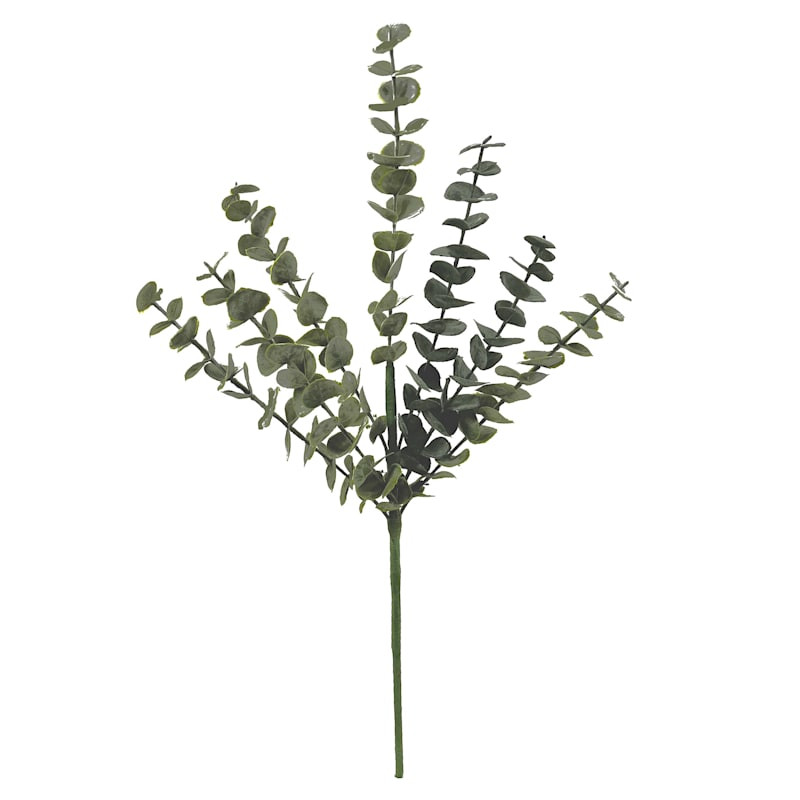 Eucalyptus Spray, 23" | At Home