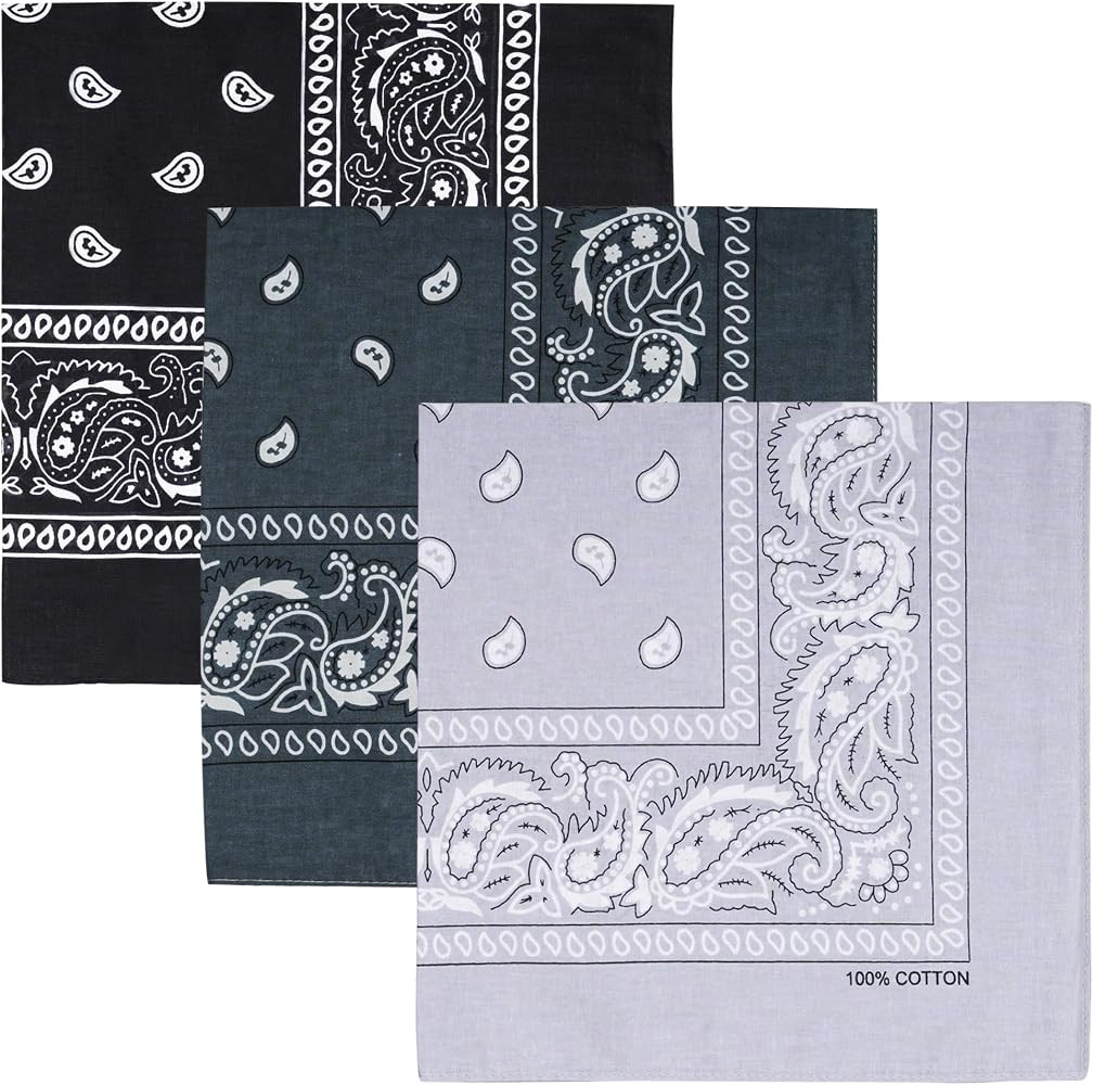 Raylarnia 100% Cotton Bandanas for Men Women, 22" Multi-Color Scarf 3 PCS | Amazon (US)