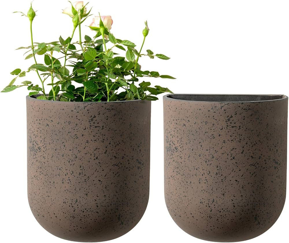 LA JOLIE MUSE Wall Hanging Planters for Indoor Plants, Hanging Flower Pots for Air Plants Succule... | Amazon (US)