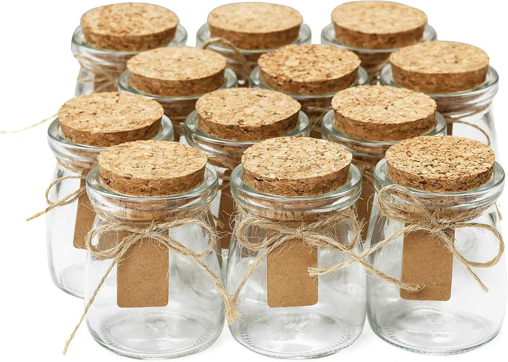 Otis Classic Small Glass Jars with Lids - Set of 12 Jars w/ 20 Labels and 15ft of Twine for Chris... | Amazon (US)