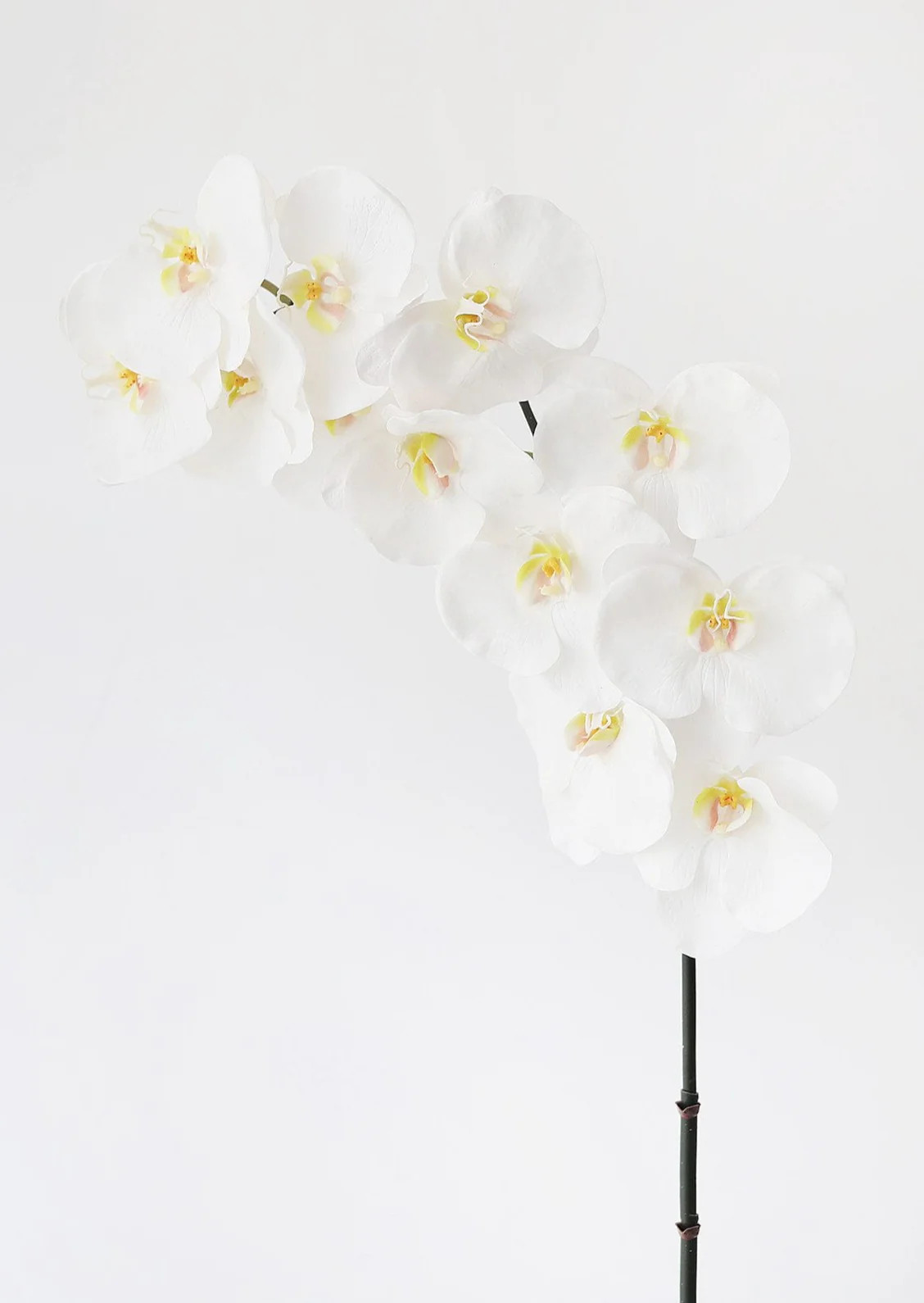 Large White Real Touch Fake Orchids - 44" | Afloral (US)