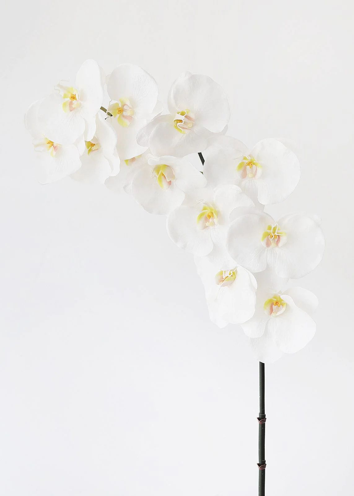 Large White Real Touch Fake Orchids - 44" | Afloral (US)