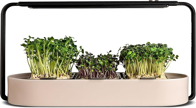 ingarden Microgreens Growing Kit - Organic Superfood Sprouting Seed Pads (3) | Auto 4-Stage LED G... | Amazon (US)