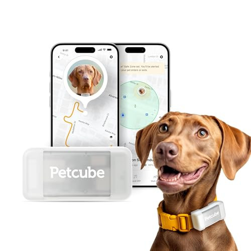 Petcube GPS Tracker for Dogs | Pet GPS Location Tracker with Escape Alerts and Virtual Fences, Activity and Wellness Monitoring, Glows in a Dark, Water and Dust Proof | Amazon (US)