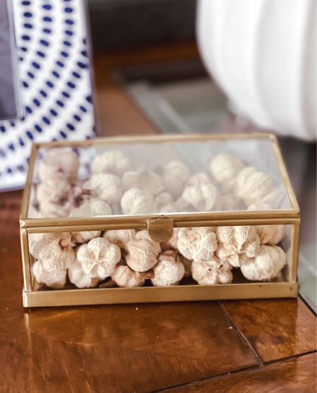 Miniature Ivory Dried Pumpkins perfect for the fall!

#LTKSeasonal #LTKstyletip #LTKhome