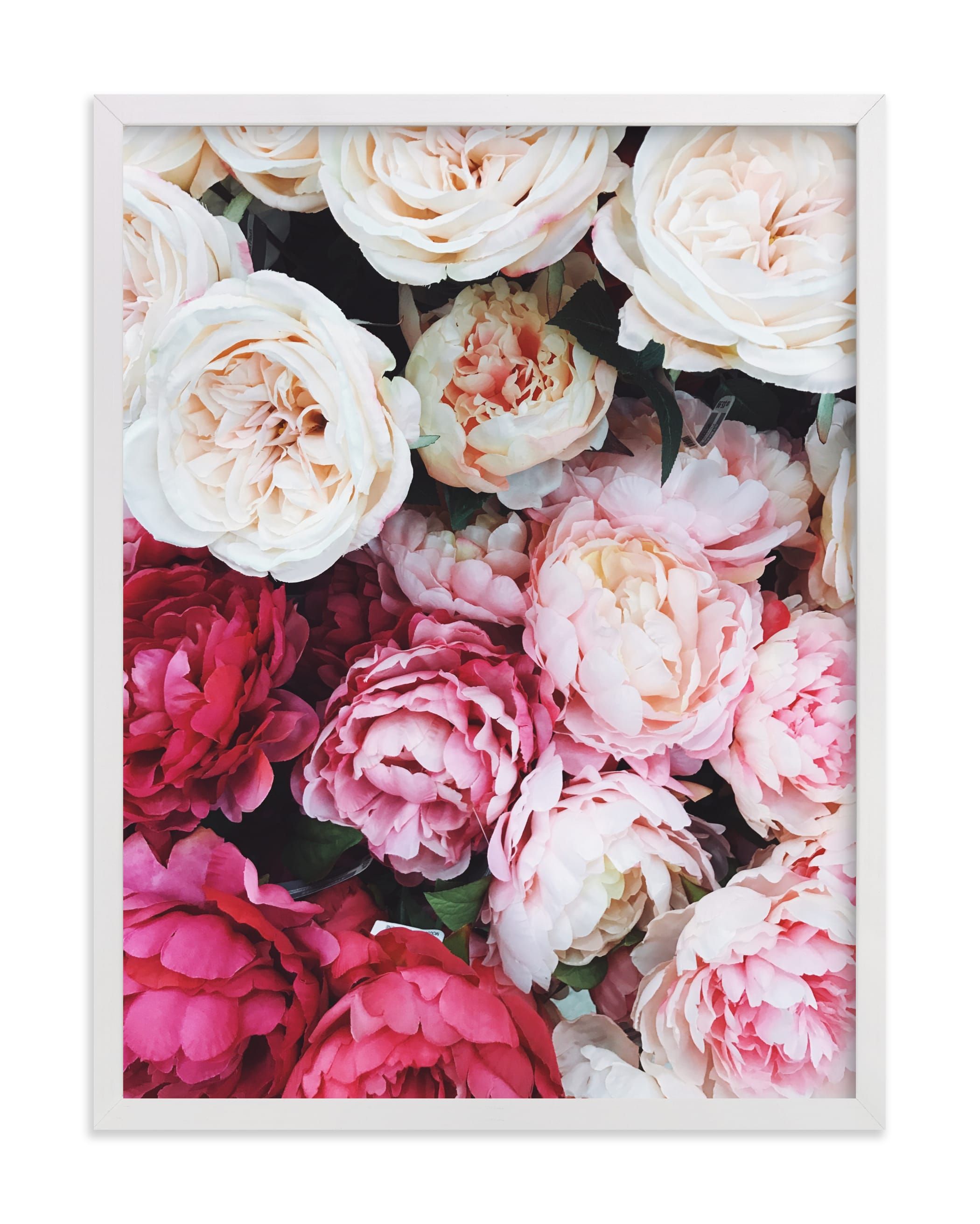 peony palette | Minted