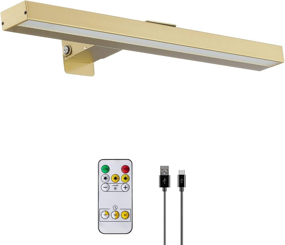 Rechargeable Picture Lights with Remote, 16" Battery Operated Painting Light Display Lamp with 3 ... | Amazon (US)