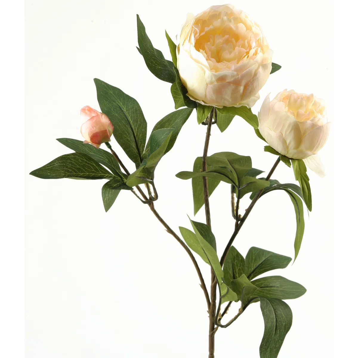 Peony Arrangement (Set of 3) | Wayfair North America