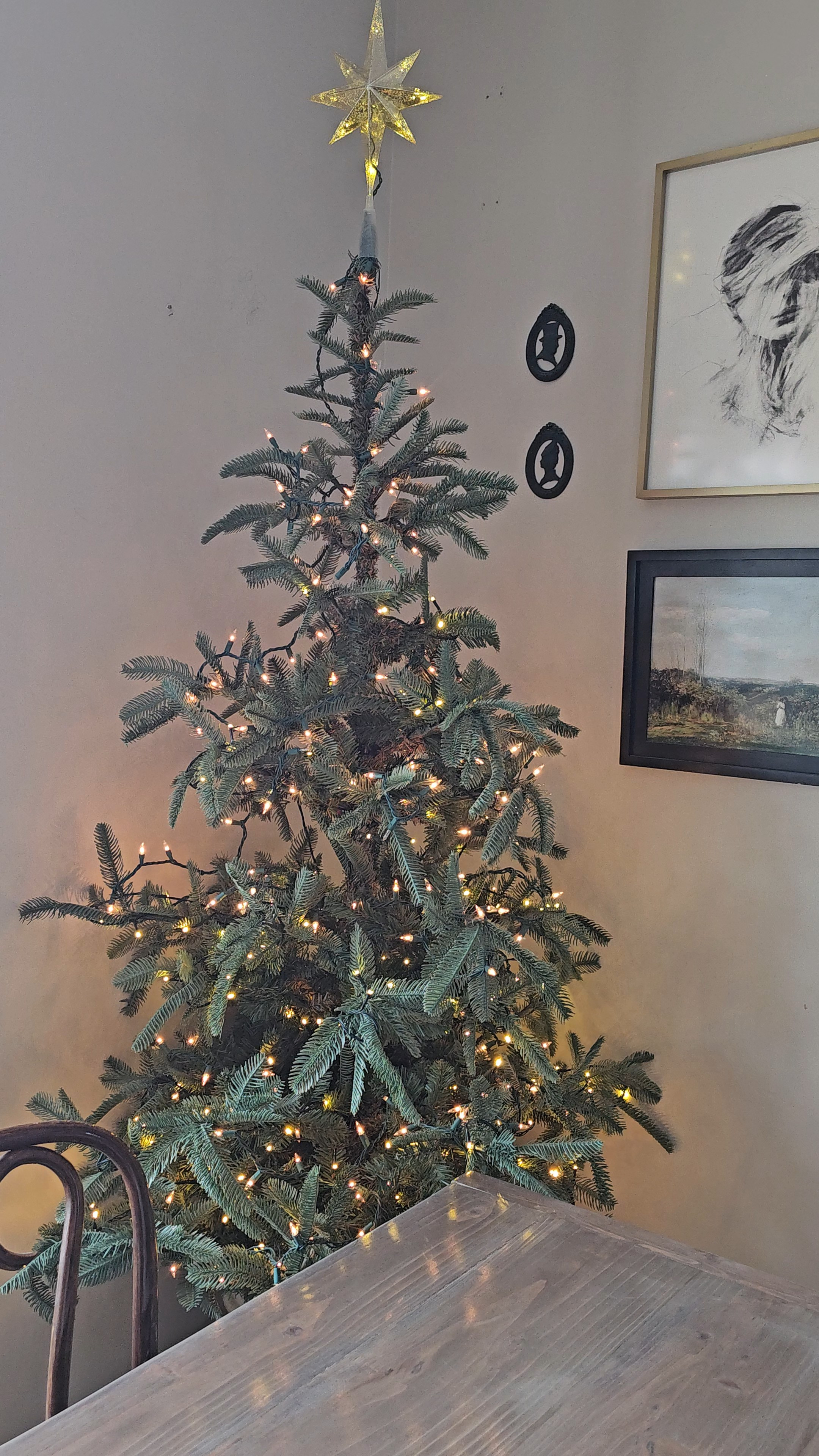 Twinkle lights and tree

#LTKHoliday #LTKHome #LTKSaleAlert