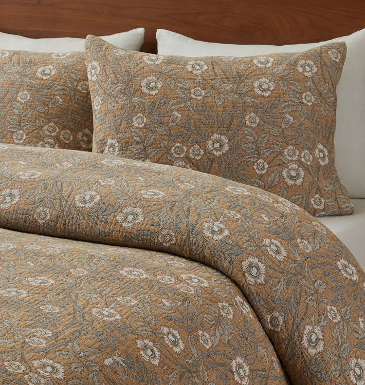 Standard Sham | Rejuvenation