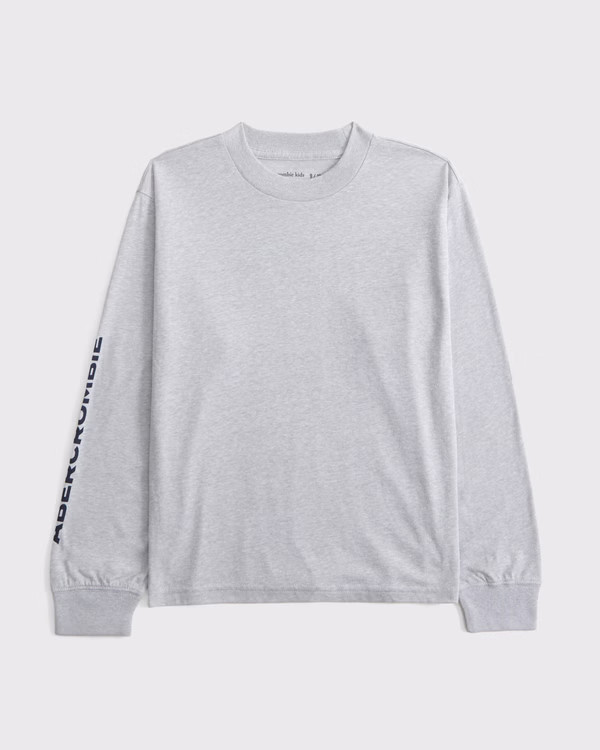 long-sleeve graphic logo tee | Abercrombie & Fitch (US)