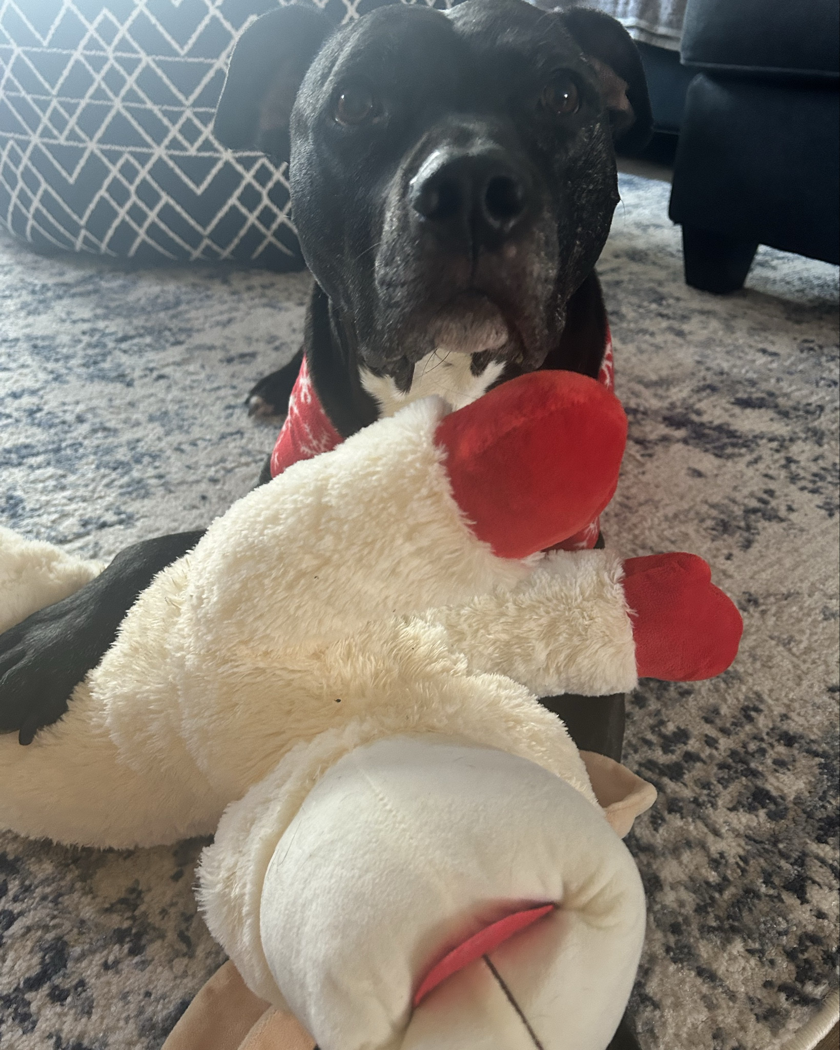 Giant Lamb Chop. Zero competition. 🐑
Linked.

#LTKGiftGuide #LTKdayinmylife #LTKmomlife