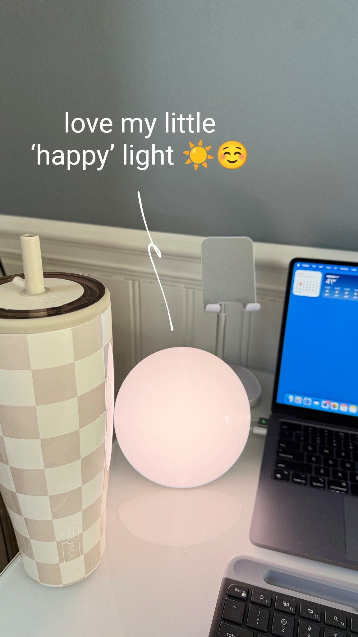 This full spectrum light (aka ‘happy light’ 😊) has helped me tremendously during the darker cold months. Another great Amazon find  

#LTKSeasonal #LTKHome