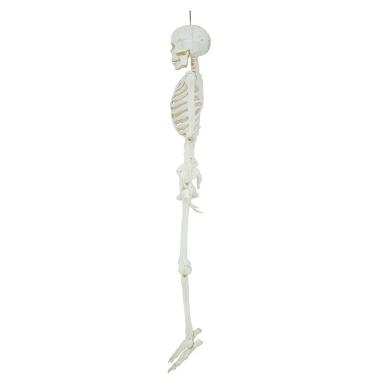 5ft Light Up Poseable Skeleton Decoration, Halloween Outdoor Decor, by Way To Celebrate - Walmart... | Walmart (US)
