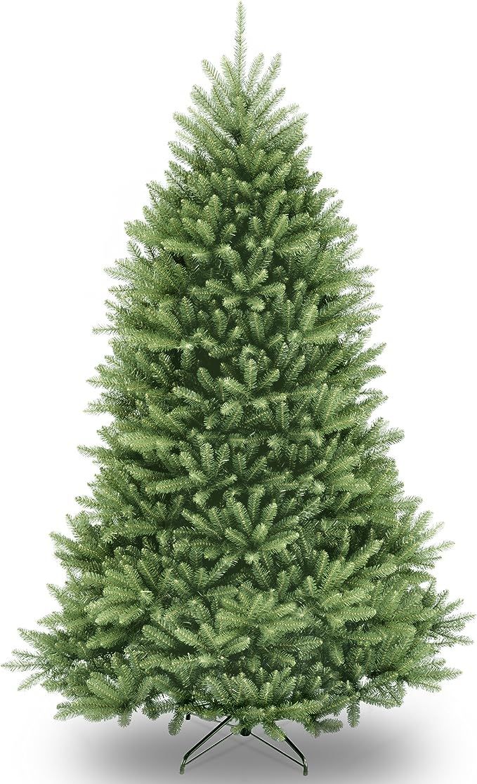 National Tree Company Artificial Full Christmas Tree, Green, Dunhill Fir, Includes Stand, 6 Feet | Amazon (US)