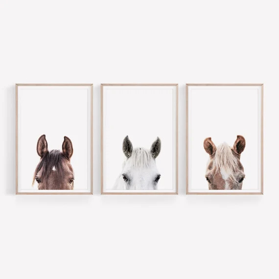 Set of 3 Horses Prints Horses Portraits Wall Art Set DIGITAL - Etsy | Etsy (US)