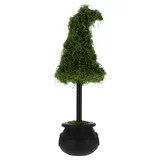My Texas House Halloween Moss Witch Hat Topiary in Cauldron, Green and Black, 20" | Walmart (US)