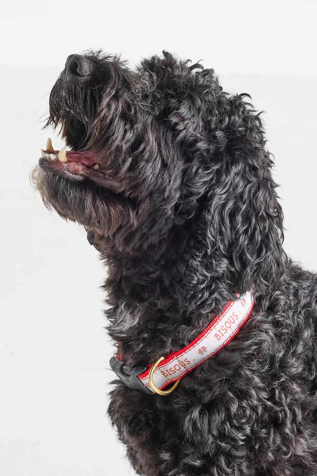 The Bistro Tile Dog Collar: Valentine's Day Edition | Anthropologie (US)