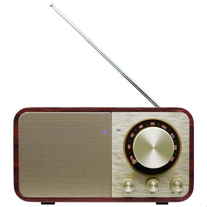 FM Radio with Bluetooth Retro Bluetooth Speaker Vintage Radio with SD/USB Memory Music Player Fun... | Amazon (US)