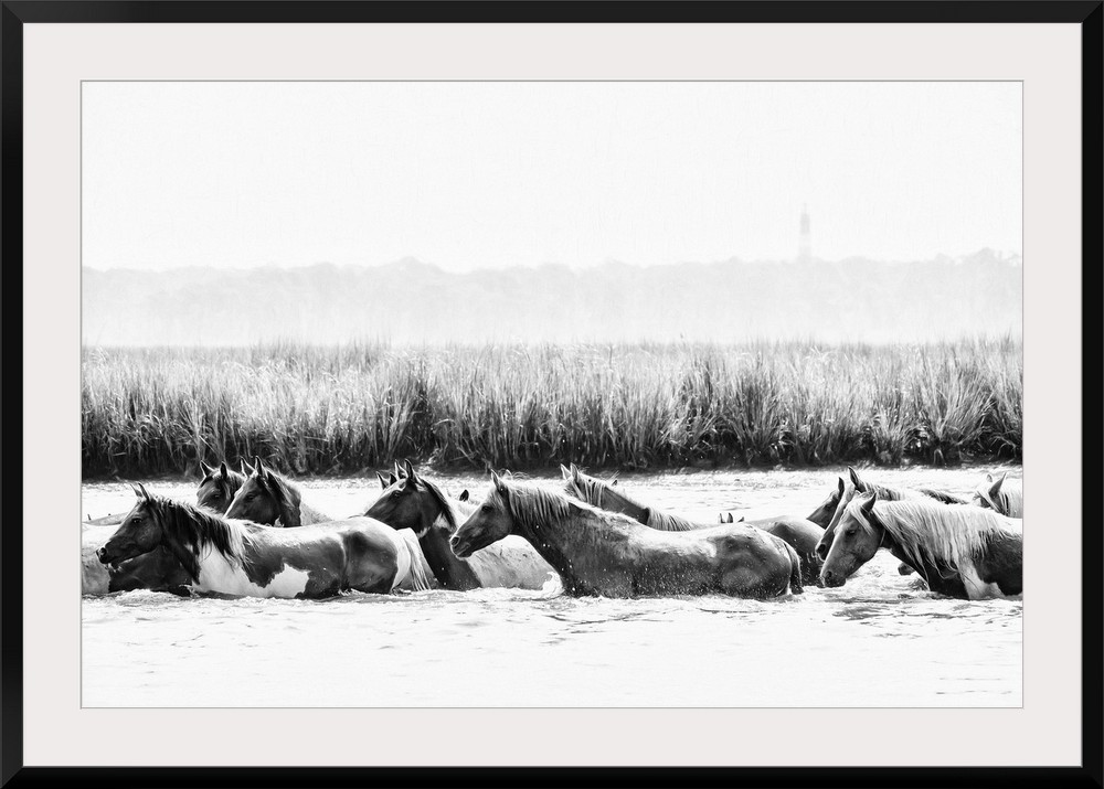 Water Horses III Wall Art | Great Big Canvas - Dynamic