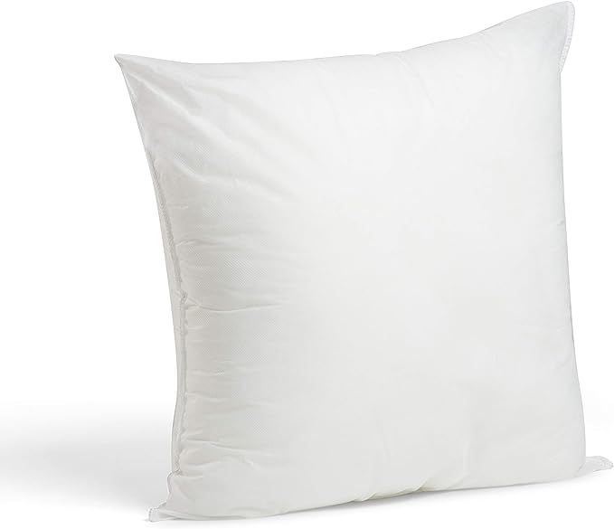 Foamily Throw Pillows Insert 22 x 22 Inches - Bed and Couch Decorative Pillow - Made in USA | Amazon (US)