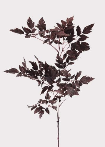 Afloral Plum Fake Cimicifuga Ramosa Leaves - 31" | Amazon (US)