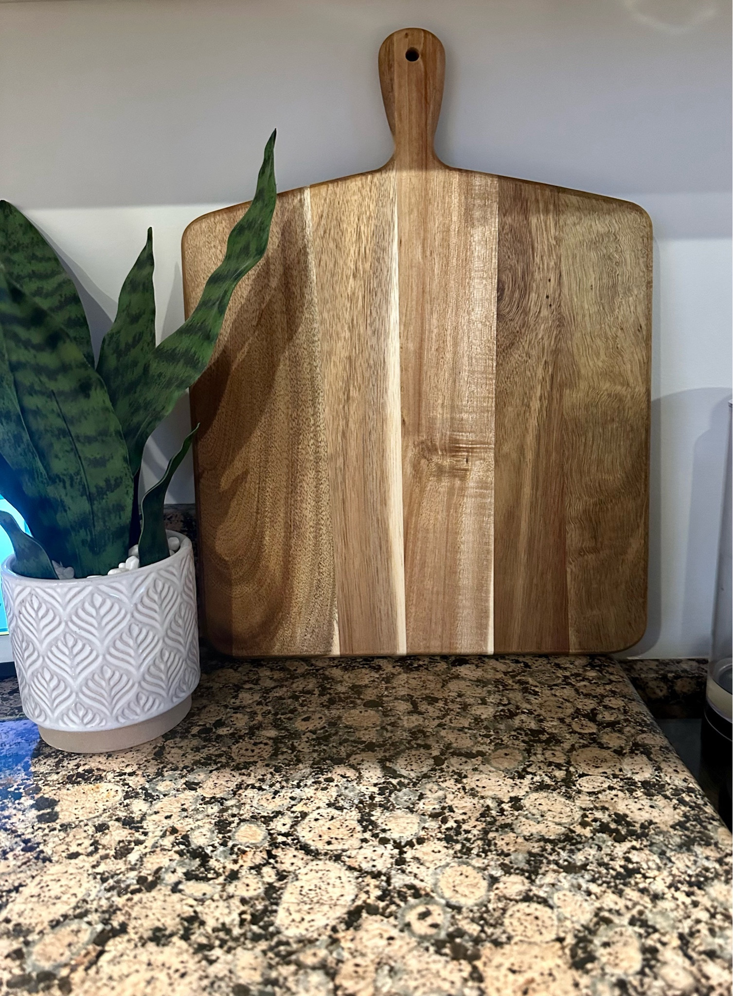 Here’s your sign to replace your toxic plastic cutting boards with acacia wood!

#LTKsalealert #LTKhome