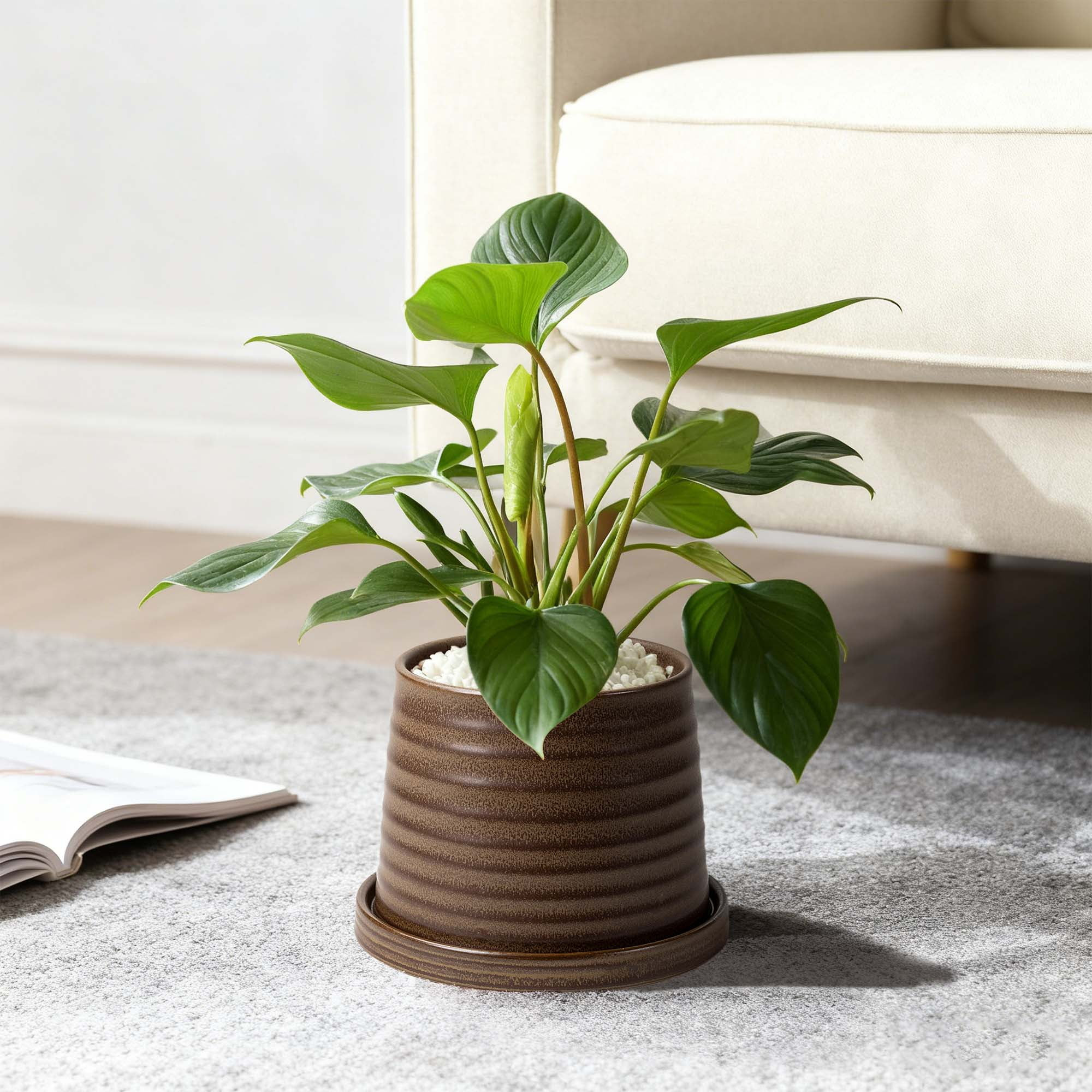 Better Homes & Gardens 7" x 7" x 5" Round Brown Ceramic Sabrina Plant Planter | Walmart (US)