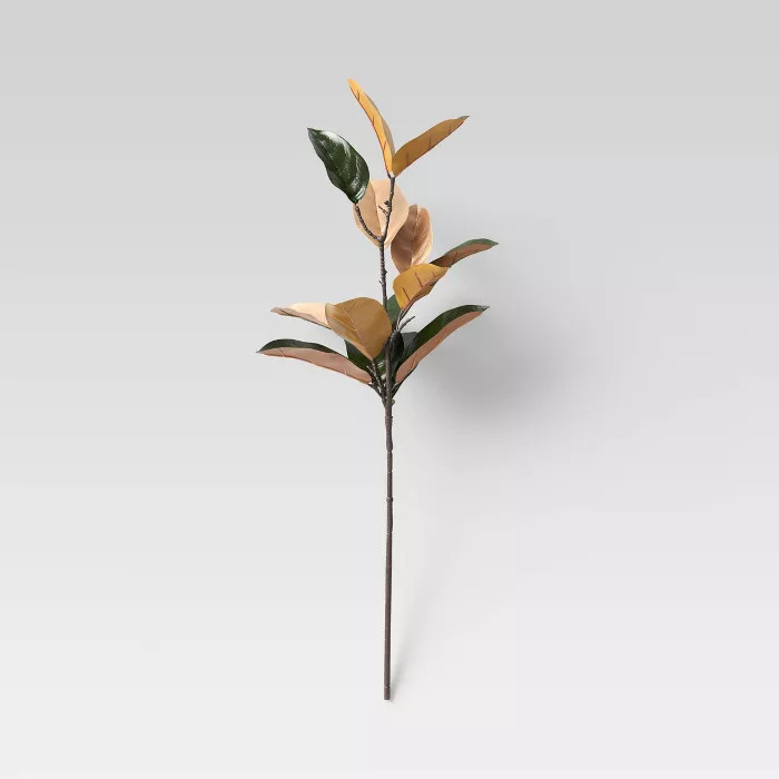 Golden Magnolia Stem - Threshold™ | Target