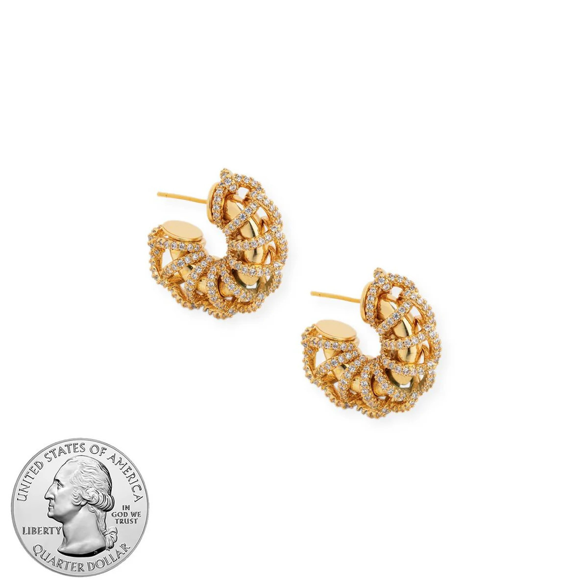 Lorenza Hoops | BRACHA