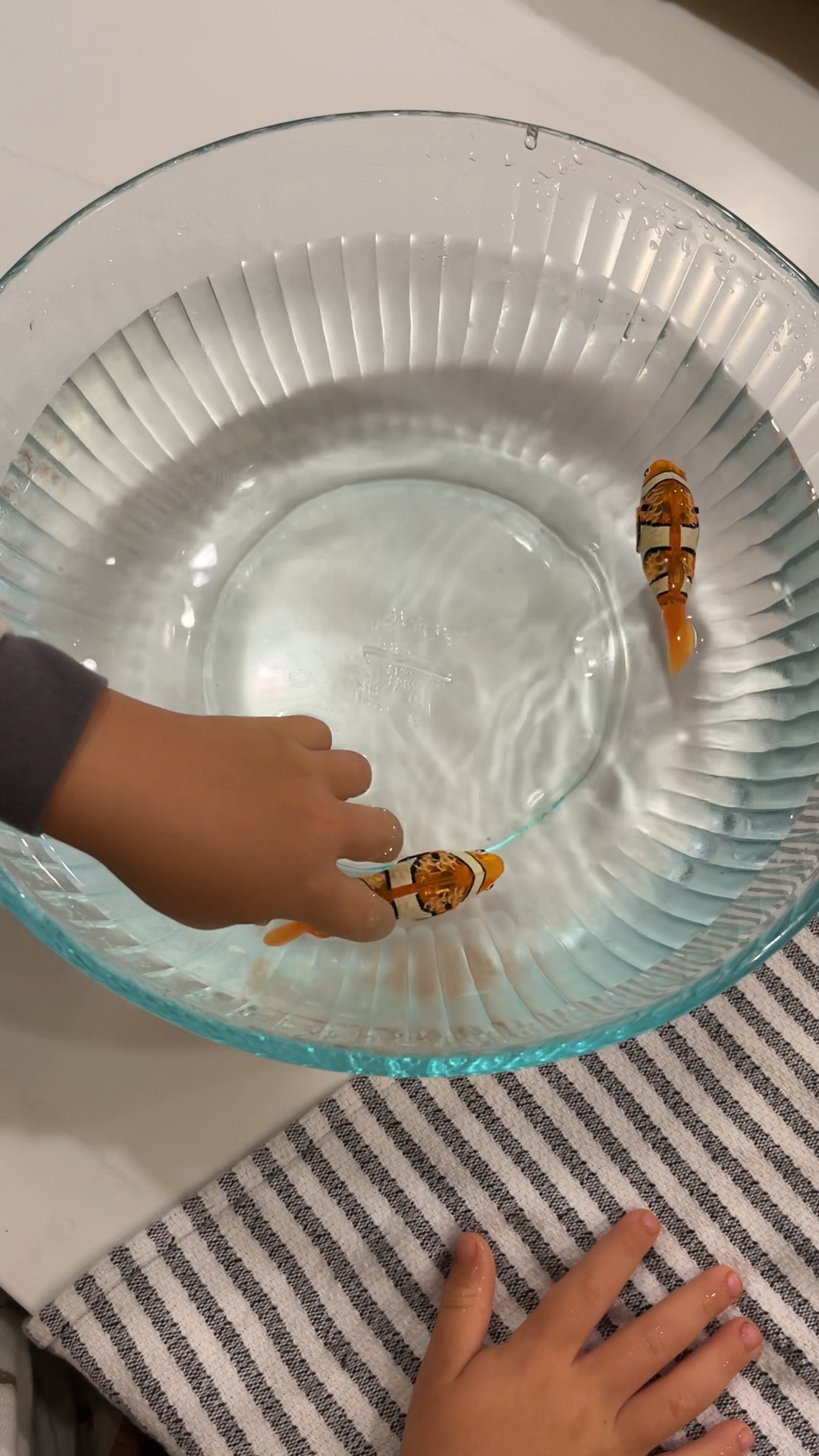 these provide hours of entertainment for kids…even before 7am 😜 can be used in bath tubs, water tables, bowls, etc!

#LTKfindsunder50 #LTKkids #LTKGiftGuide