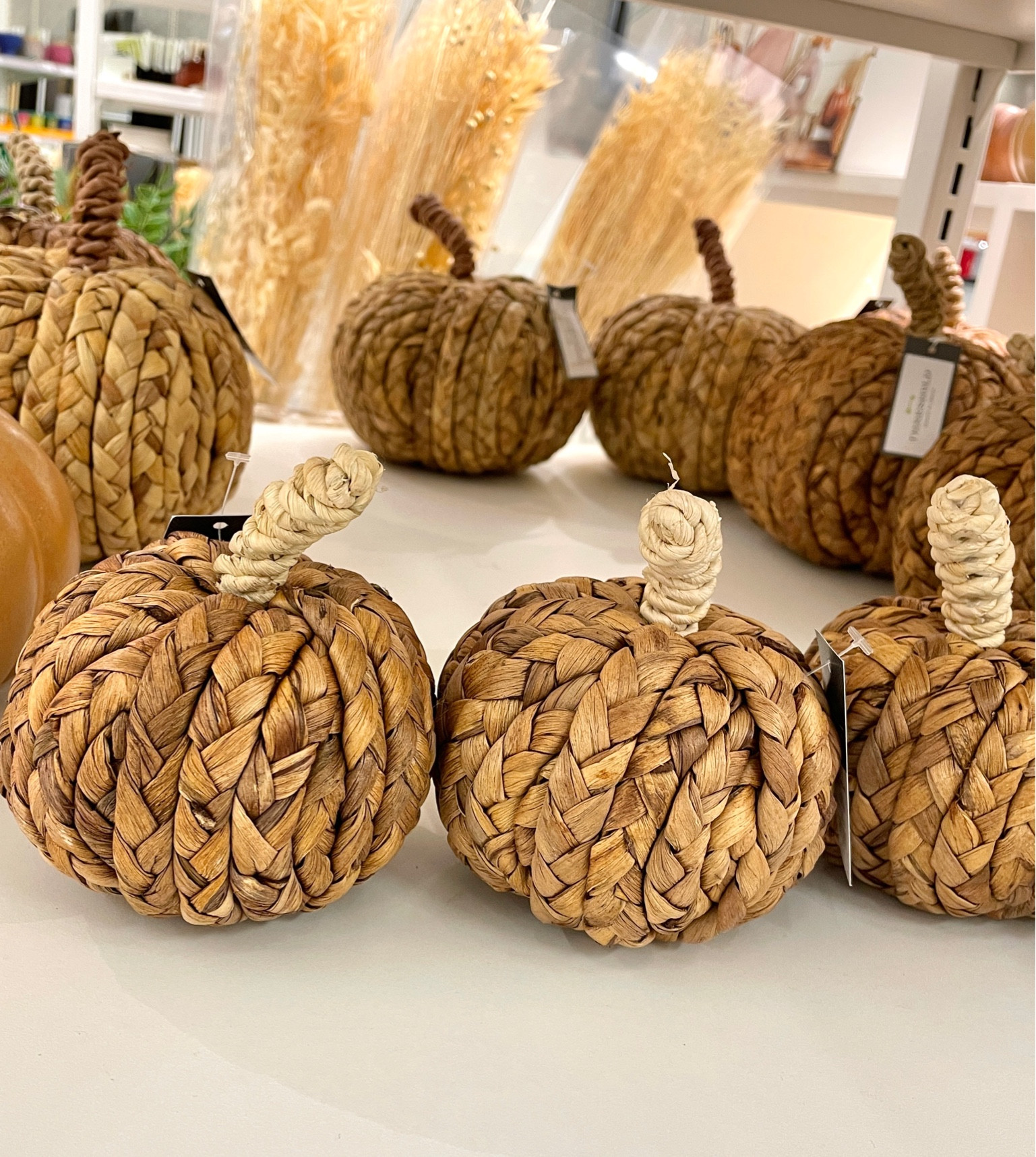 #holiday #holidaydecor #fall #falldecor #pumpkins #wovenpumpkins #minipumpkins #smallpumpkins #target #homedecor

#LTKGiftGuide #LTKSeasonal