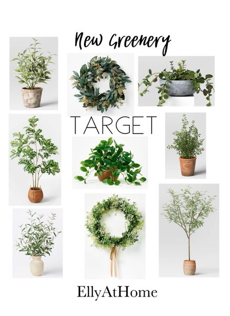 New spring greenery collection from Studio McGee at Target! Shop your favorites early! Wreaths, small potted plants, faux houseplants, potted trees. Free shipping. Home refresh  

#LTKfindsunder100 #LTKfindsunder50 #LTKhome