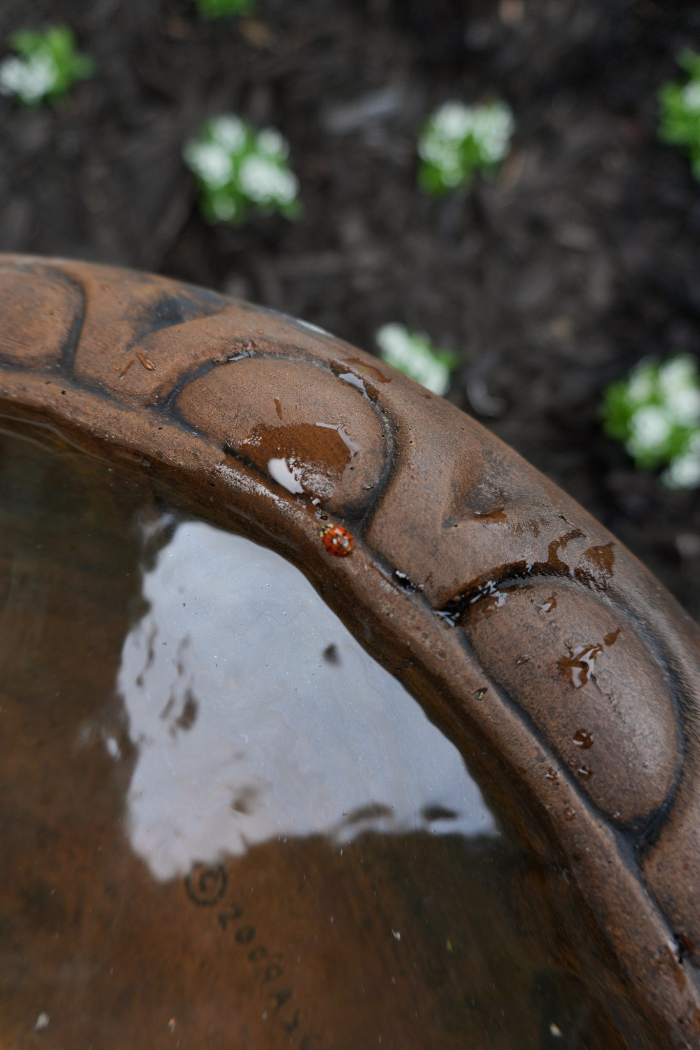 Pretty color bird bath 

•bird bath •gardening •for her •wildlife 

#LTKHome #LTKSeasonal #LTKMothersDay