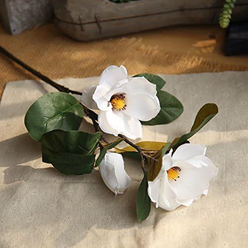 Allywit Artificial Magnolia Flowers, Fake Real Touch Magnolia Bouquet for Indoor Outdoor Wedding ... | Amazon (US)
