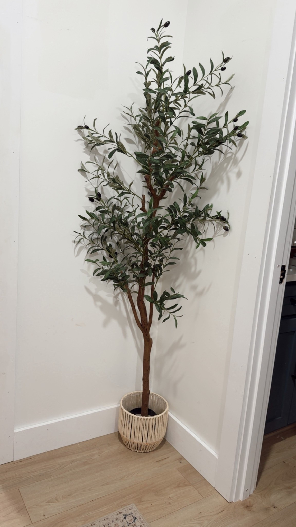 🌲🌲 can’t go wrong with a good olive tree!

#LTKHome #LTKSaleAlert