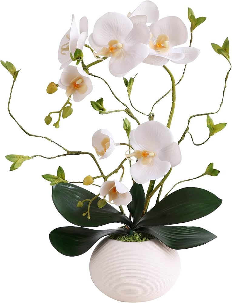 Orchid Artificial Flowers | Amazon (US)