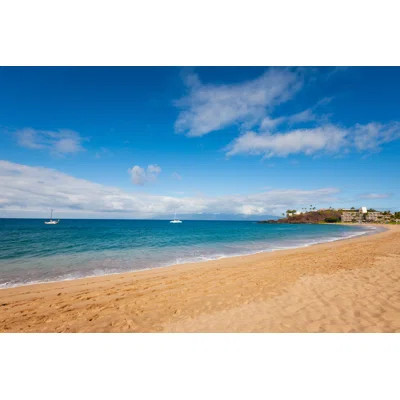 Beautiful Kaanapali Beach Maui Hawaii by Mlenny | Wayfair North America