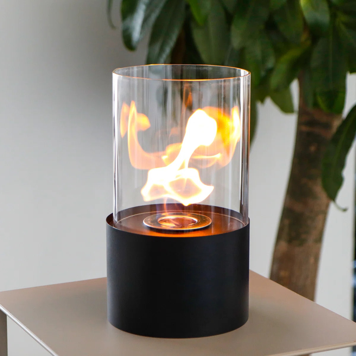 Bio-Ethanol Outdoor Tabletop Fireplace | Wayfair North America