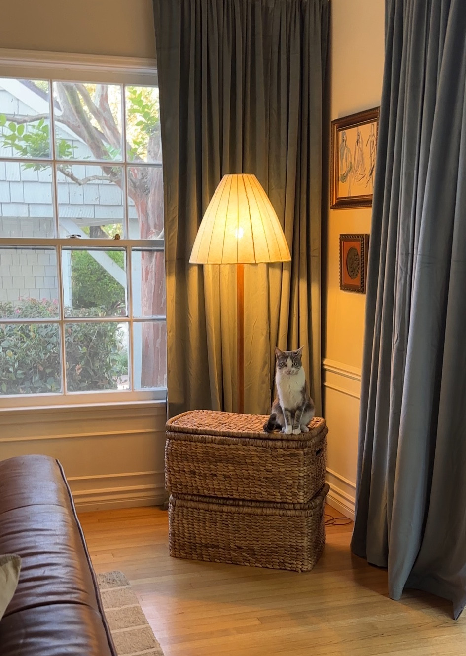 Floor lamp, curtains, baskets, storagee

#LTKHome