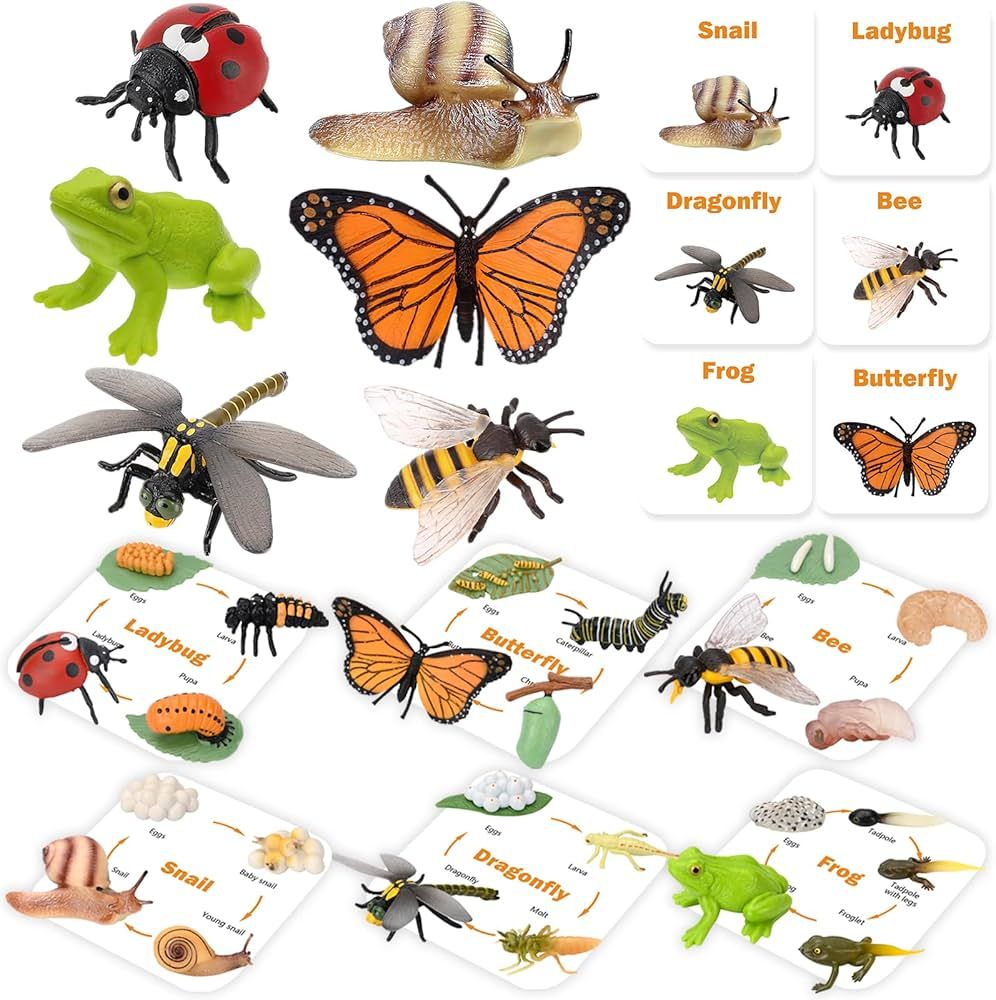 MIKNEKE Montessori Life Cycle Animal Figures with 31 Flash Cards, Realistic Animal Figurines, Mon... | Amazon (US)