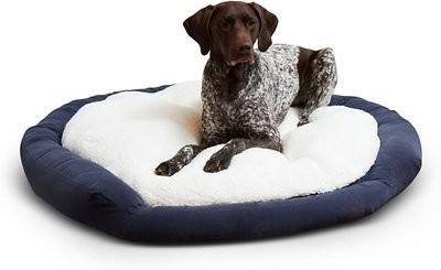 Happy Hounds Marley Donut Dog Bed | Chewy.com