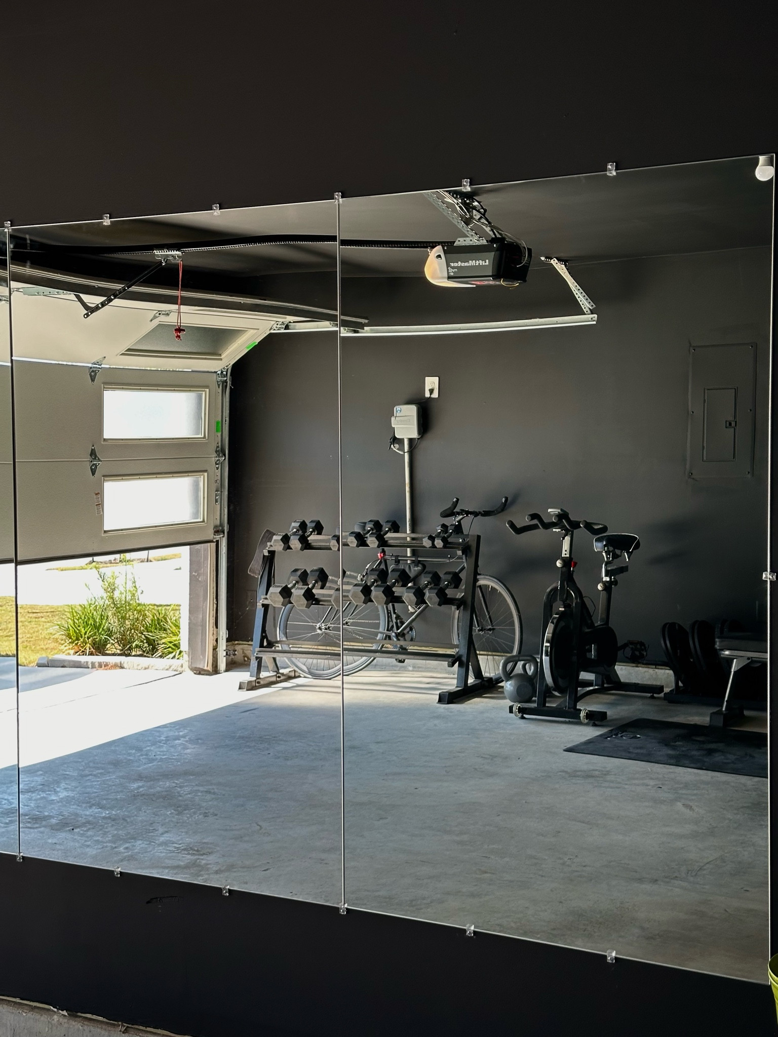Garage Gym weights

#LTKFindsUnder100 

#LTKSaleAlert #LTKActive