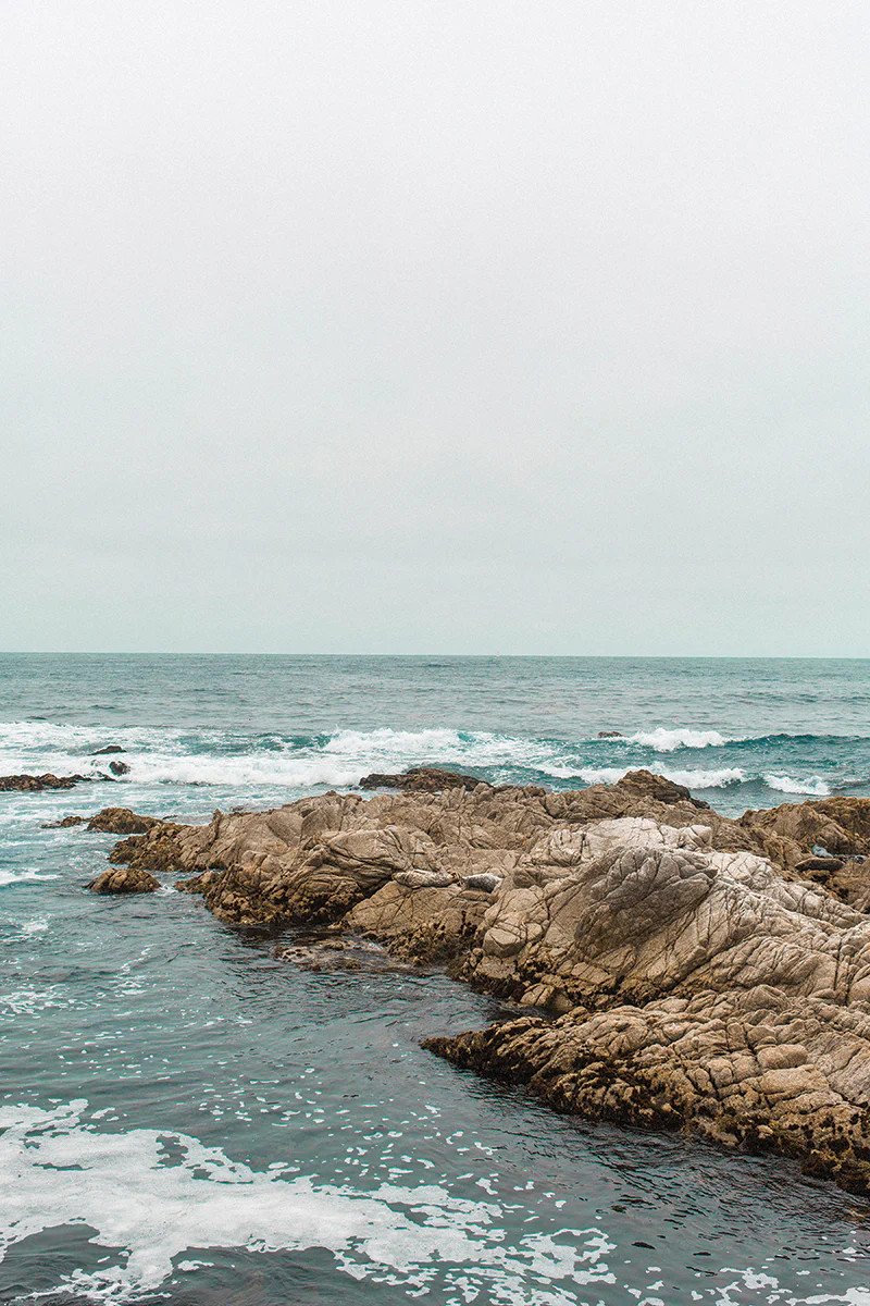 Rocky II | Juniper Print Shop