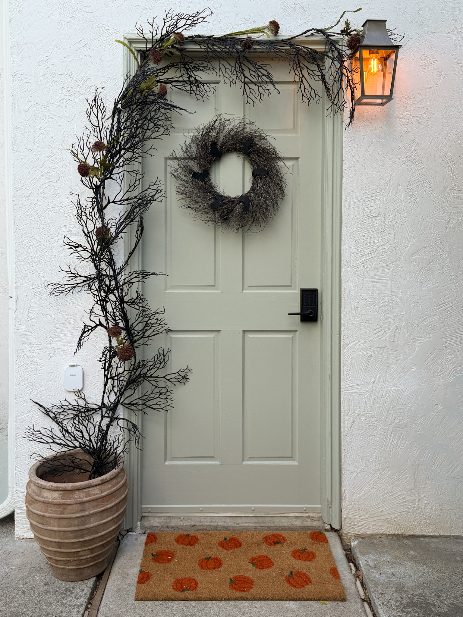 Halloween wreaths🕸️ Because your door deserves a little spooky moment too!🎃

#LTKSeasonal #LTKHome