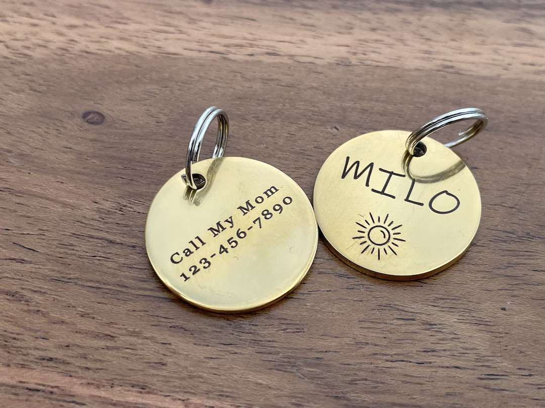 Custom Small Cat Tags, Personalized Tag for Cats, Cat Tag and Collar, Engraved Cat Tag, Cat Tag F... | Etsy (US)